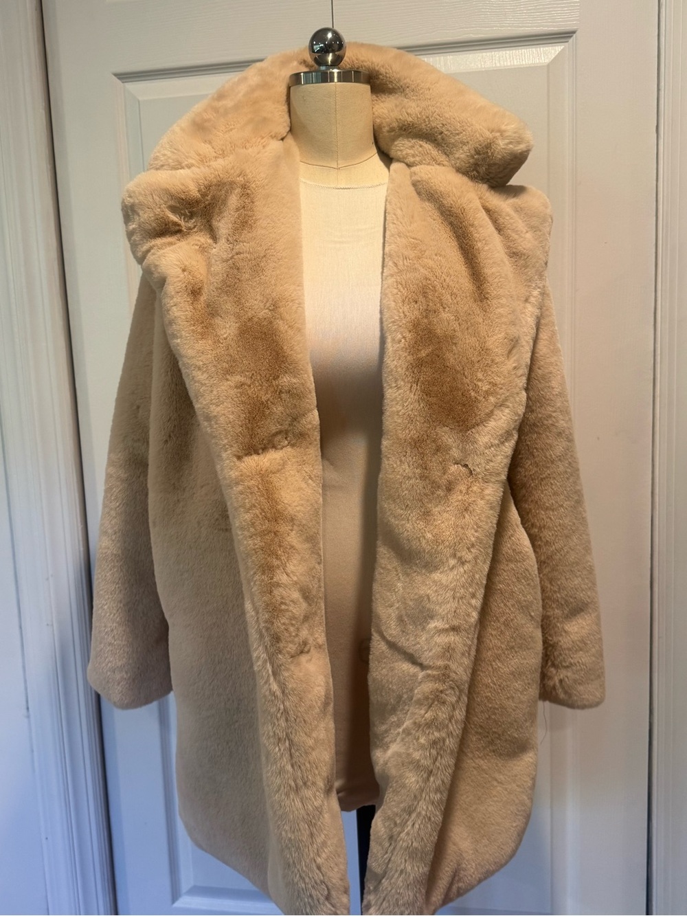 Philosophy Plush Hooded Teddy Coat in Beige